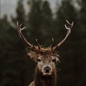 Meet your Posher, Ingrid